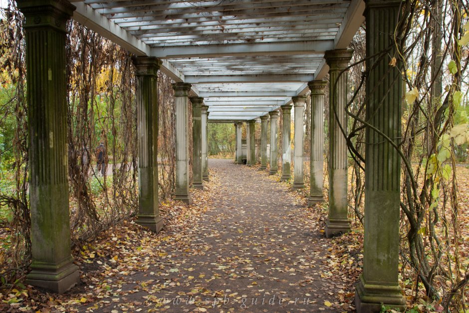 Екатерининский парк пергола