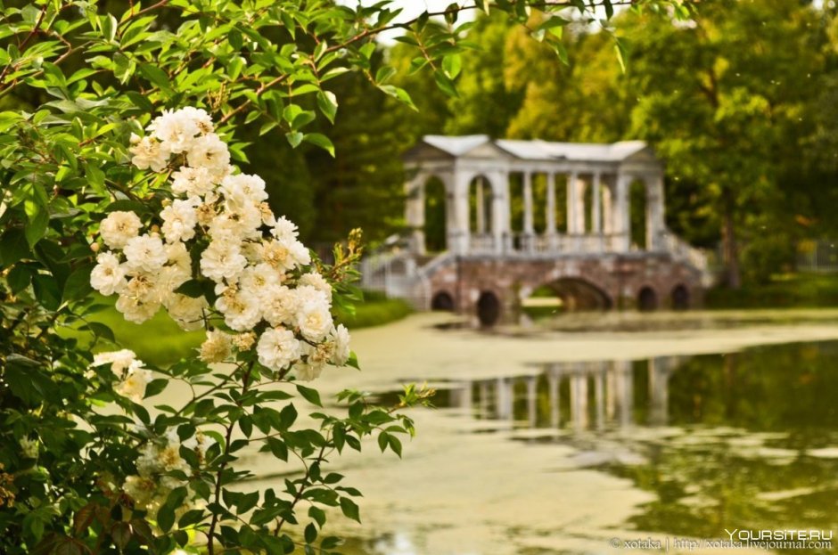 Екатерининский парк Царское село весной