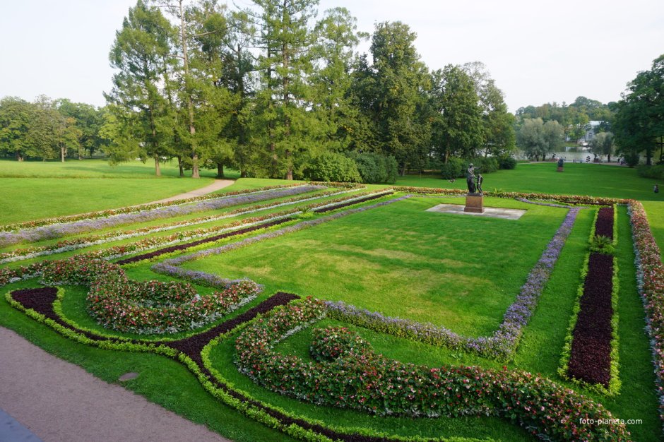 Москва Екатерининский парк дерево