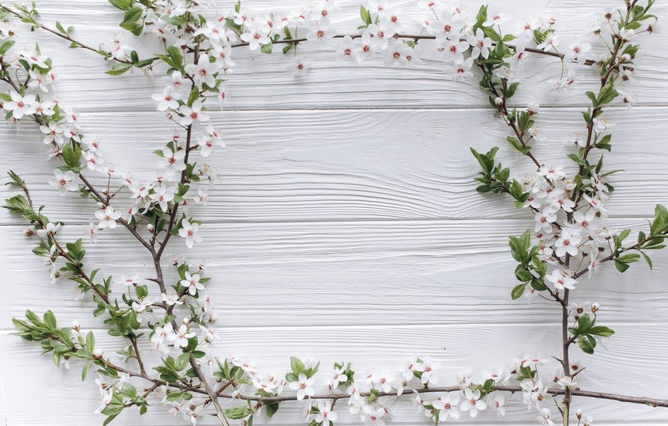 Цветы на фоне дерева