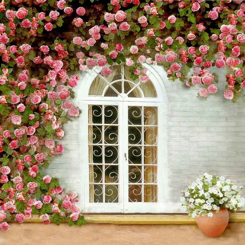 Фотофон окно