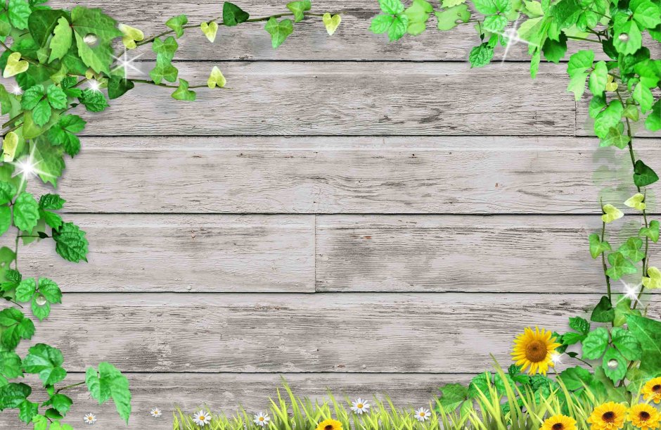 Фотофон зелень