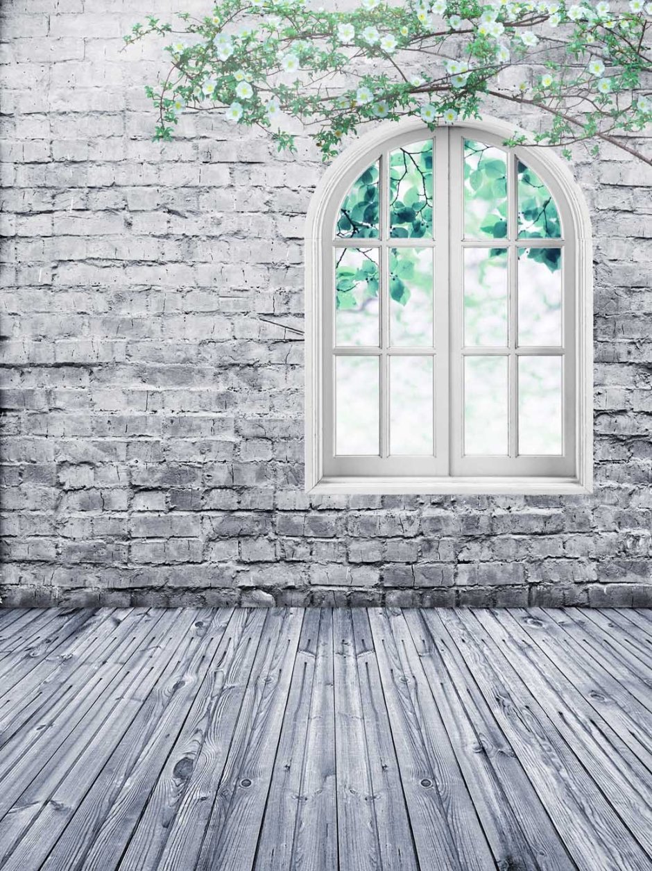 Фон для фото