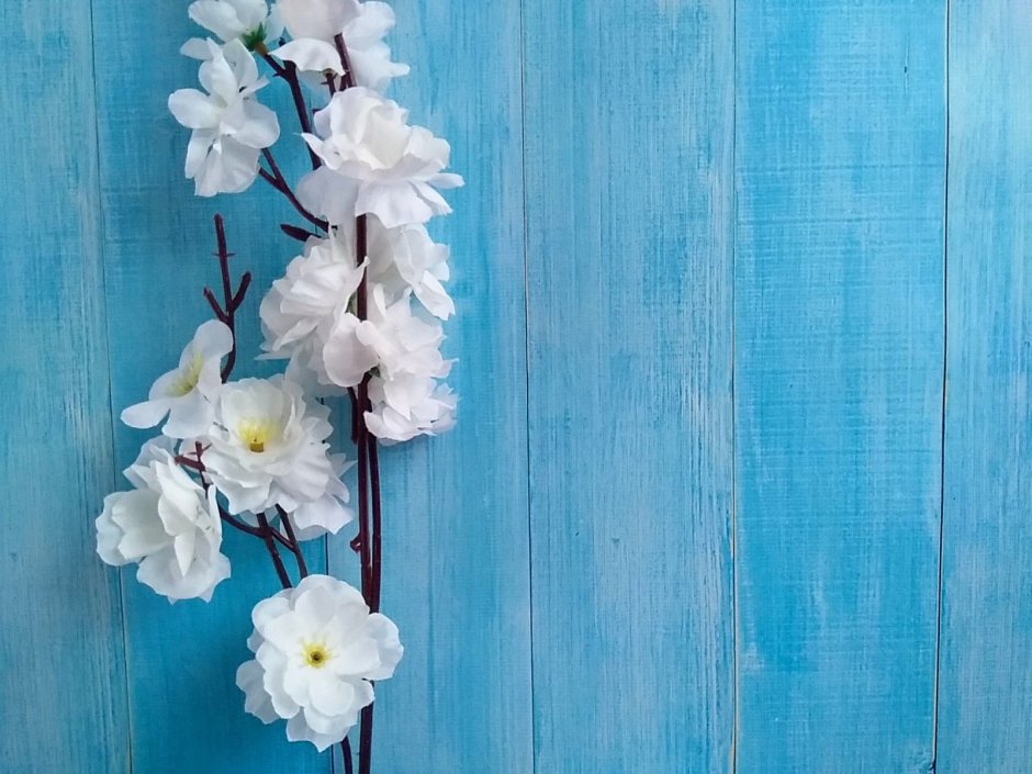 Красивый фотофон