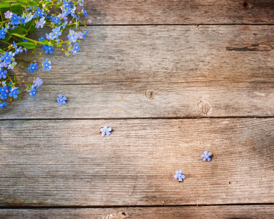 Цветы на деревянном фоне