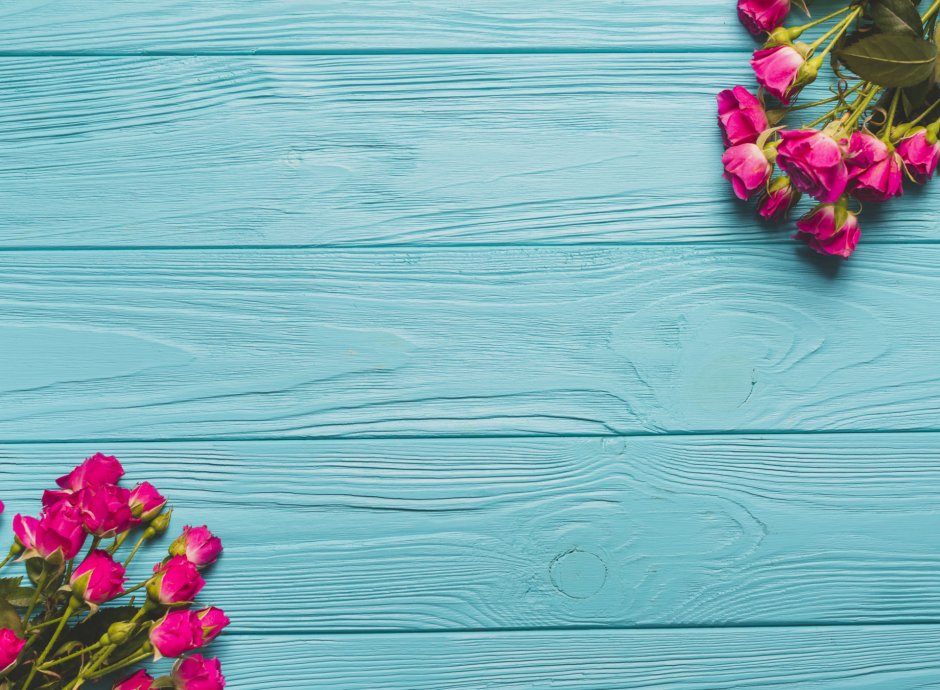 Фотофон для цветов