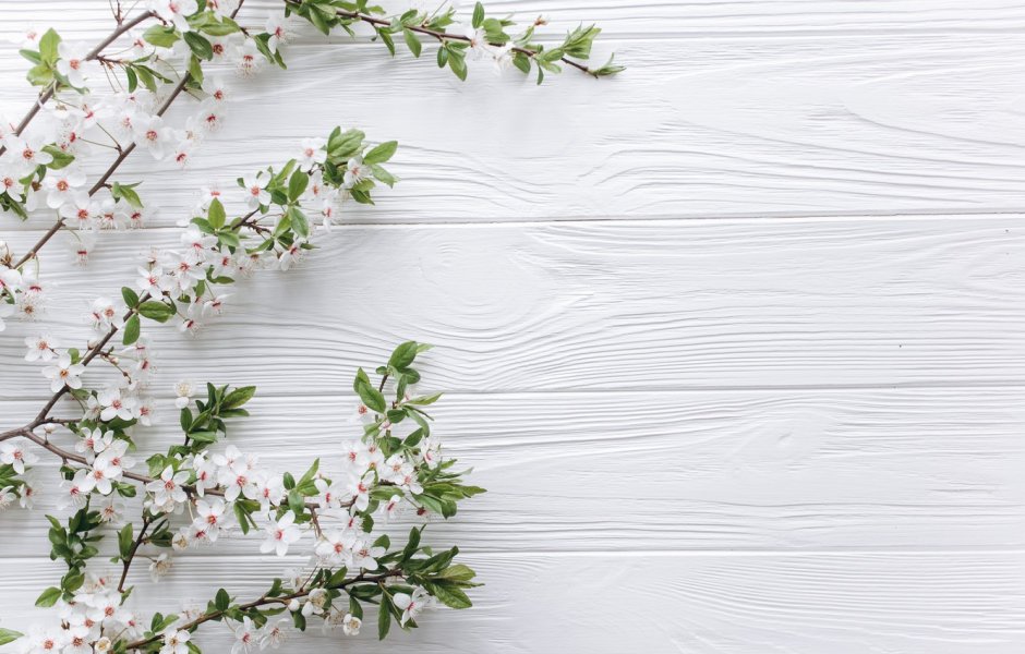 Фон веточка на досках