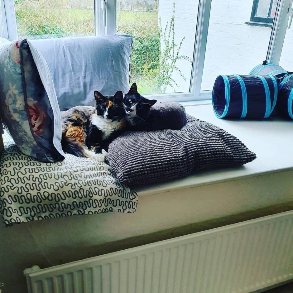 Лежанка для кота на подоконник