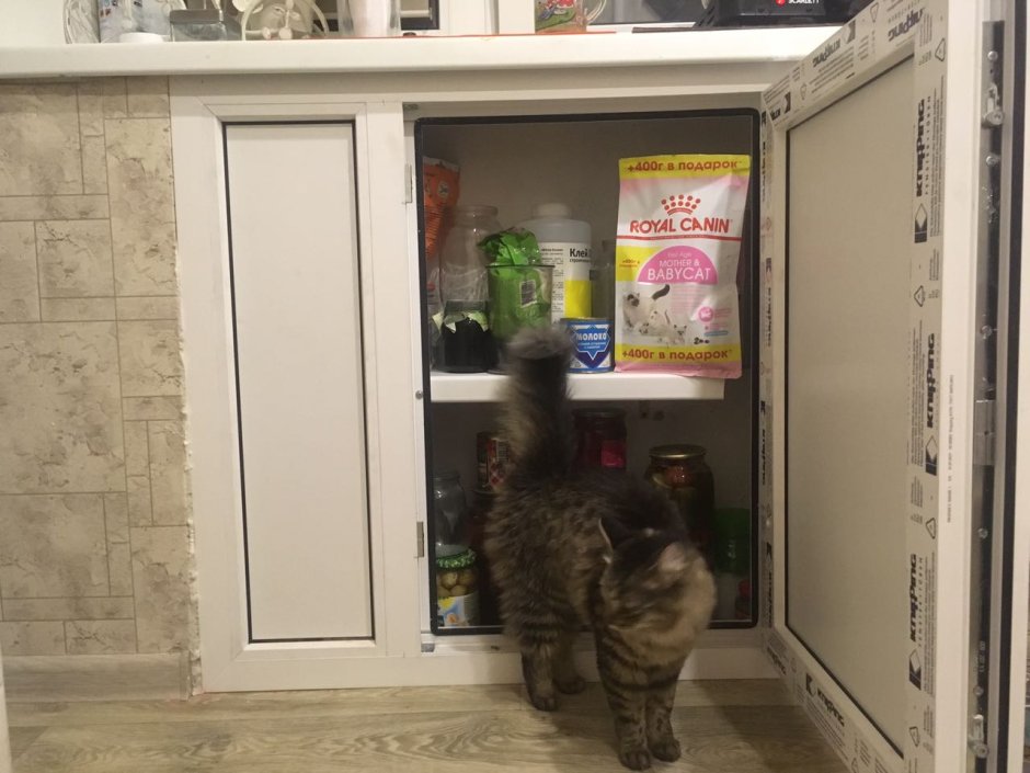 Холодильник под окном