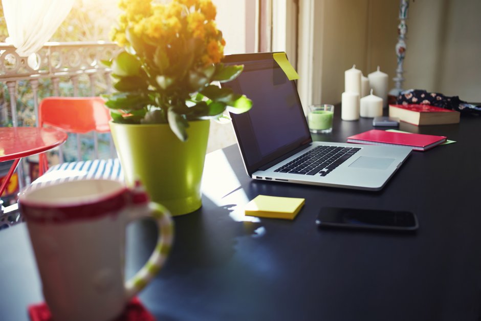 Цветы на офисном столе