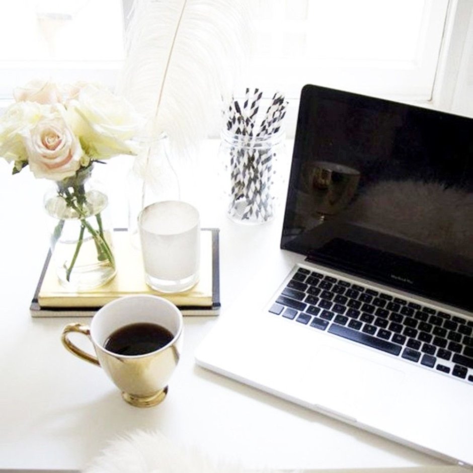 Офисные цветы названия