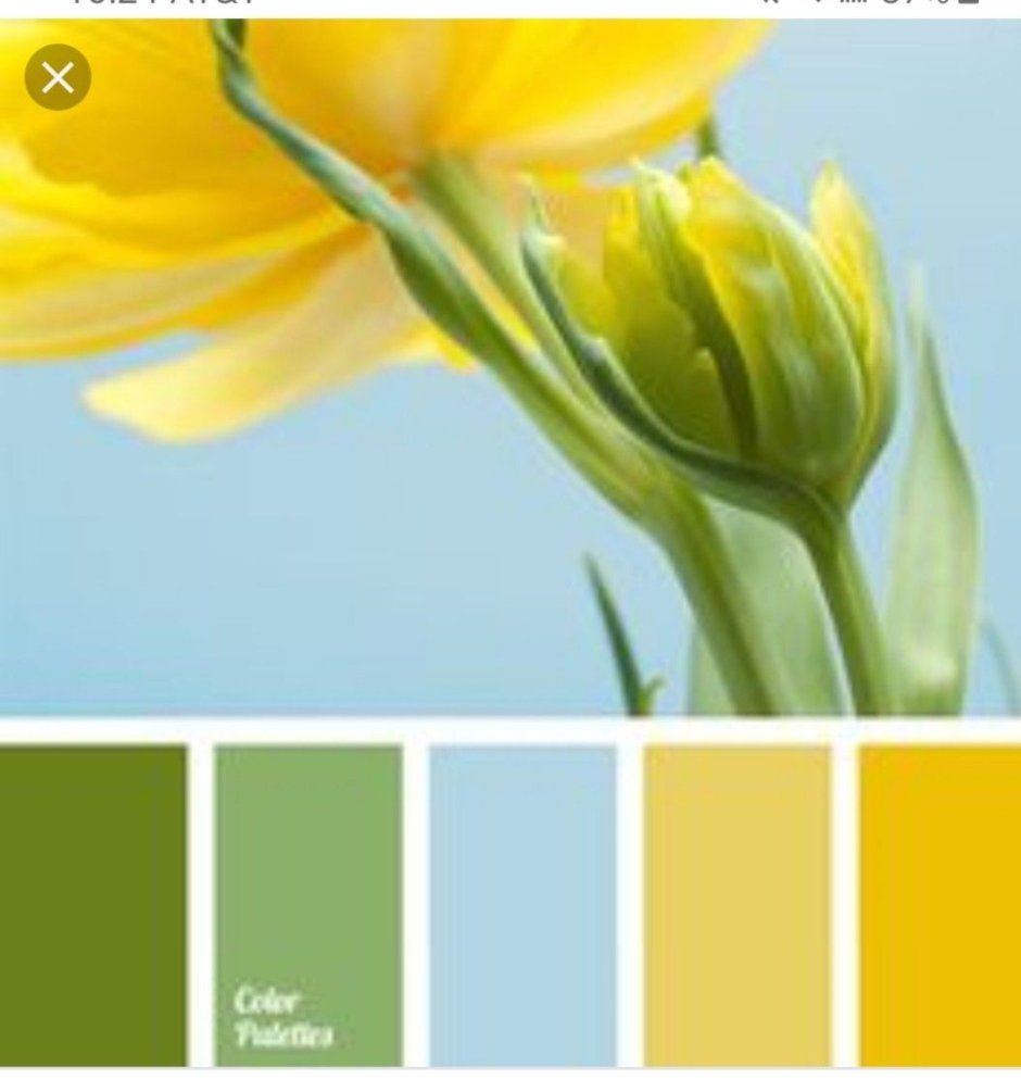 Палитра желтый зеленый