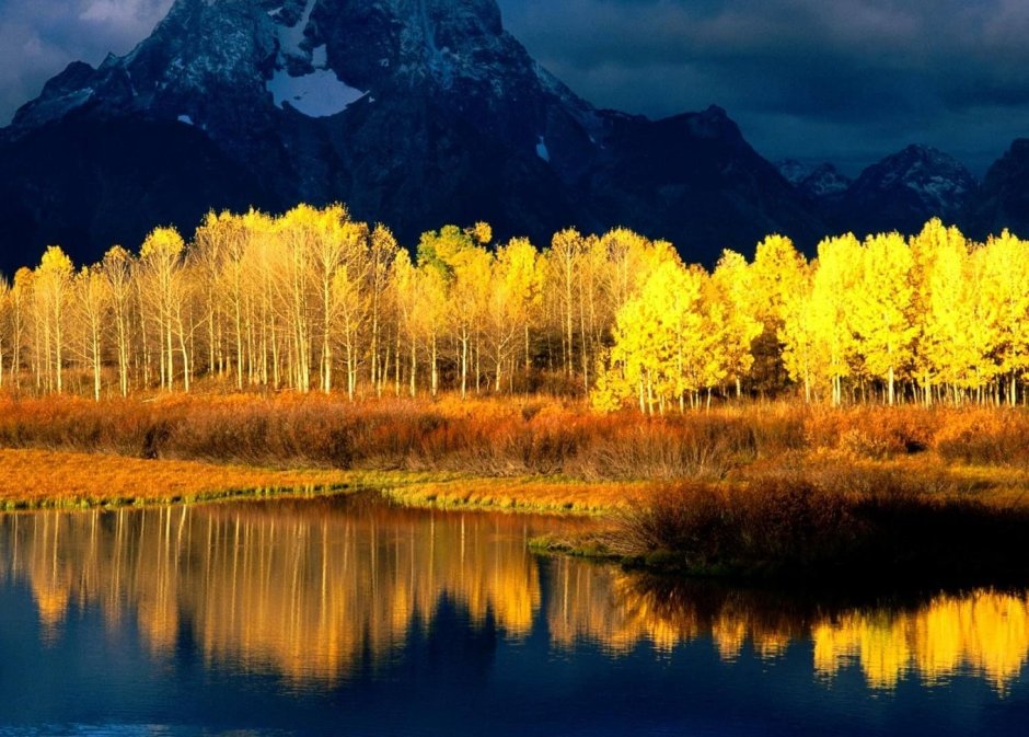 Сочетание синего и желтого палитра