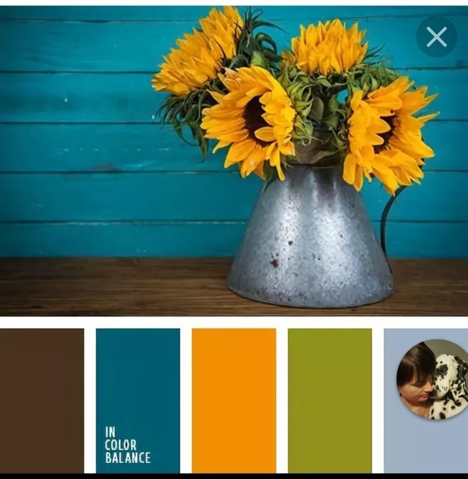 Сочетание цветов цветы