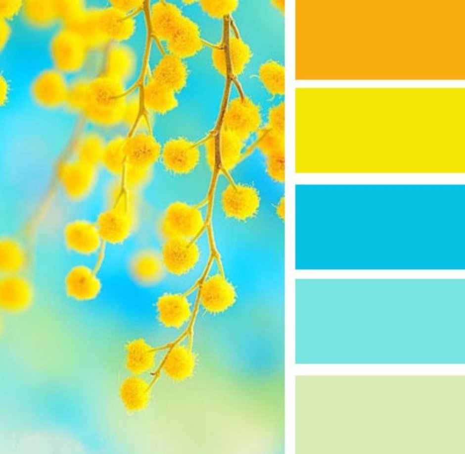 Желтый палитра сочетание