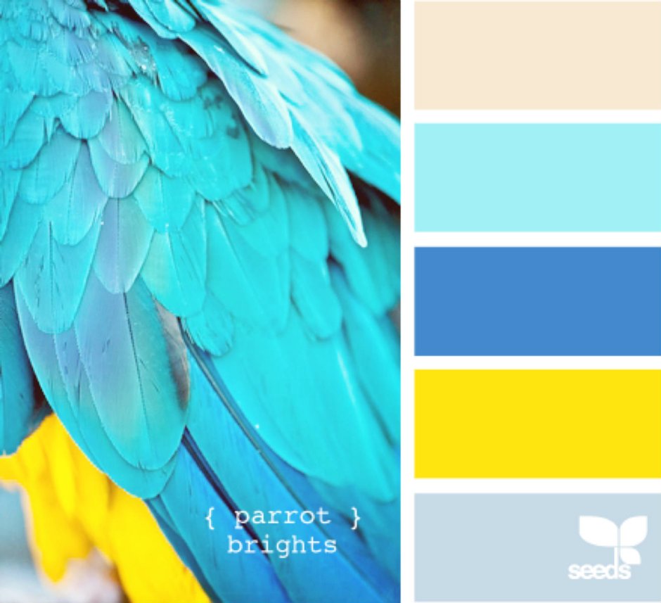 Сочетание сиреневого и желтого