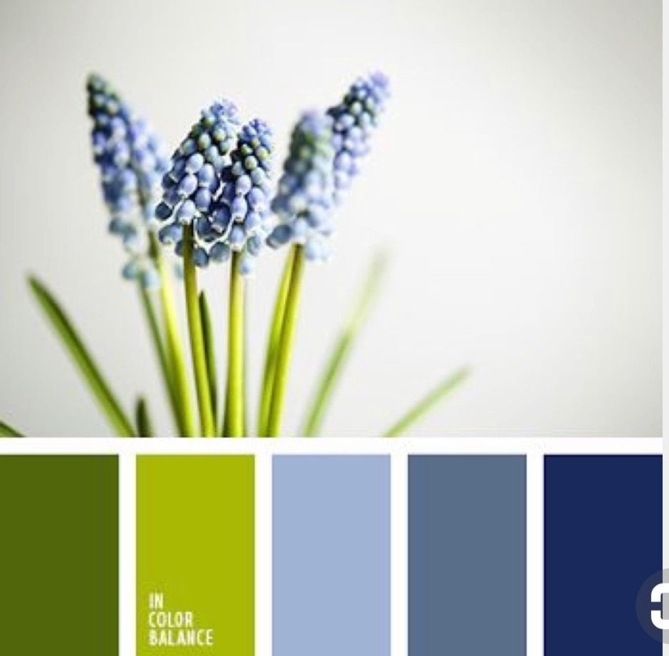 Желто голубая свадьба