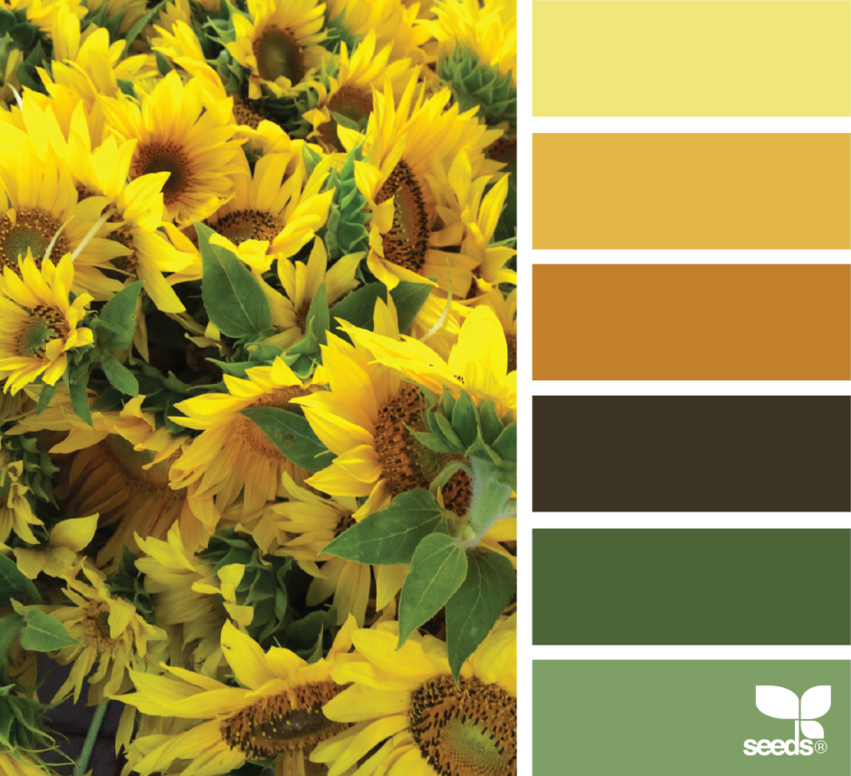 Сочетание с фиолетовым