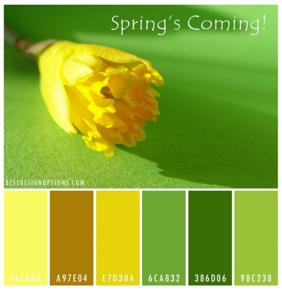 Палитра цветов желтый