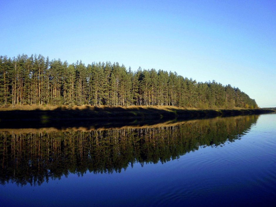 Пестово богатые дома