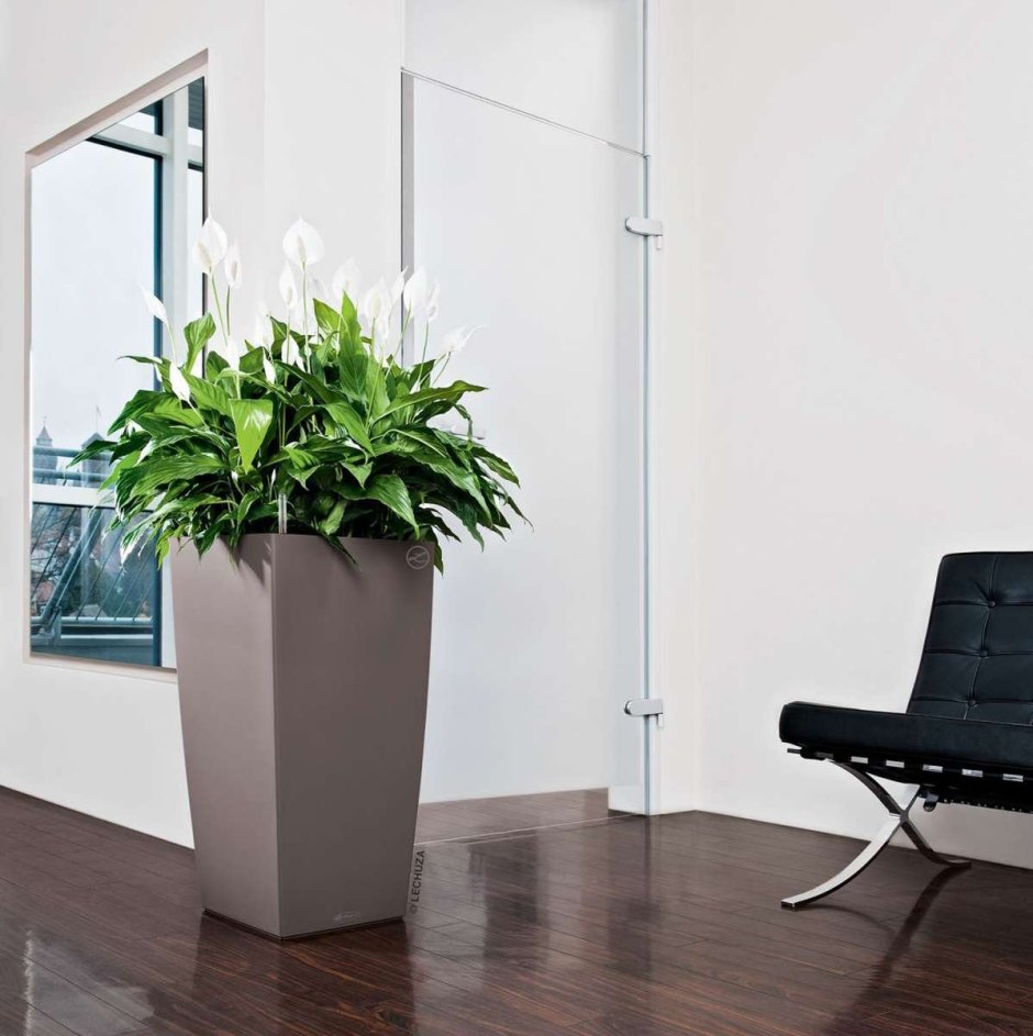 Кашпо Lechuza Кубико