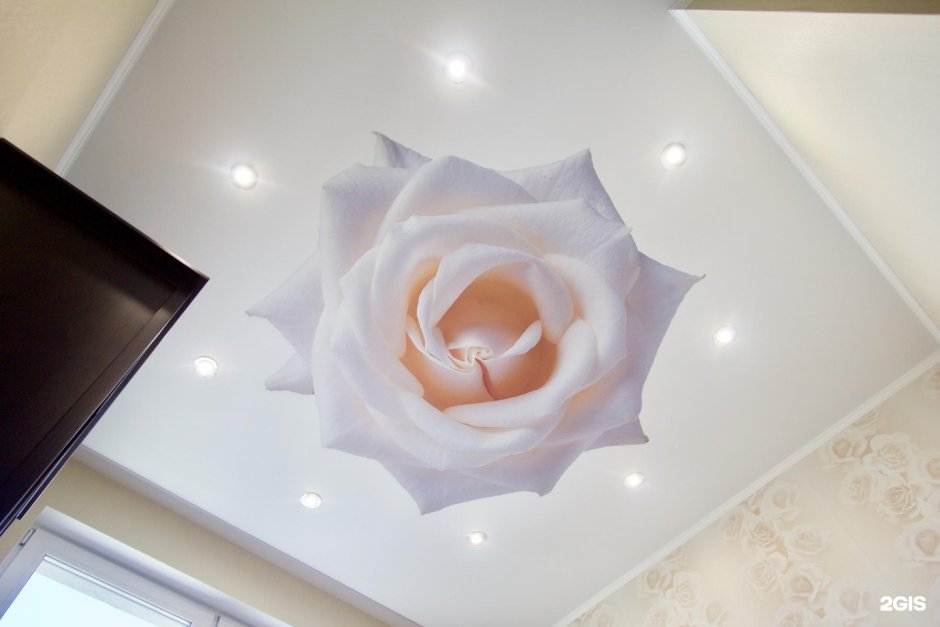 Натяжные потолки с розами