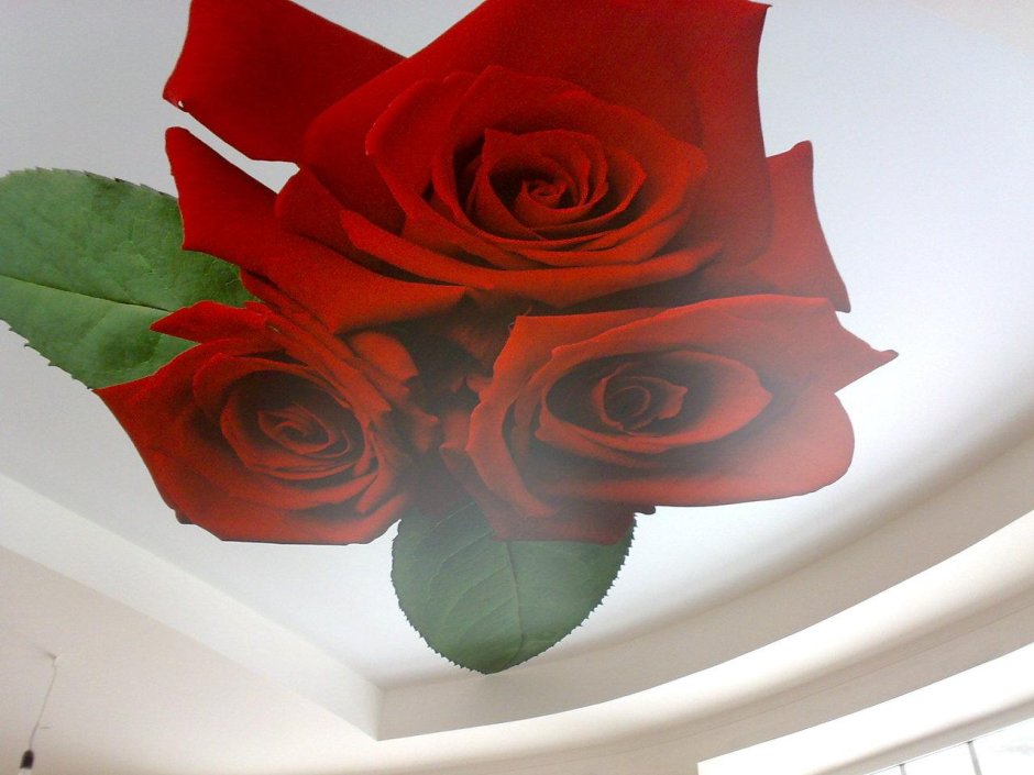 Натяжной потолок с фотопечатью розы