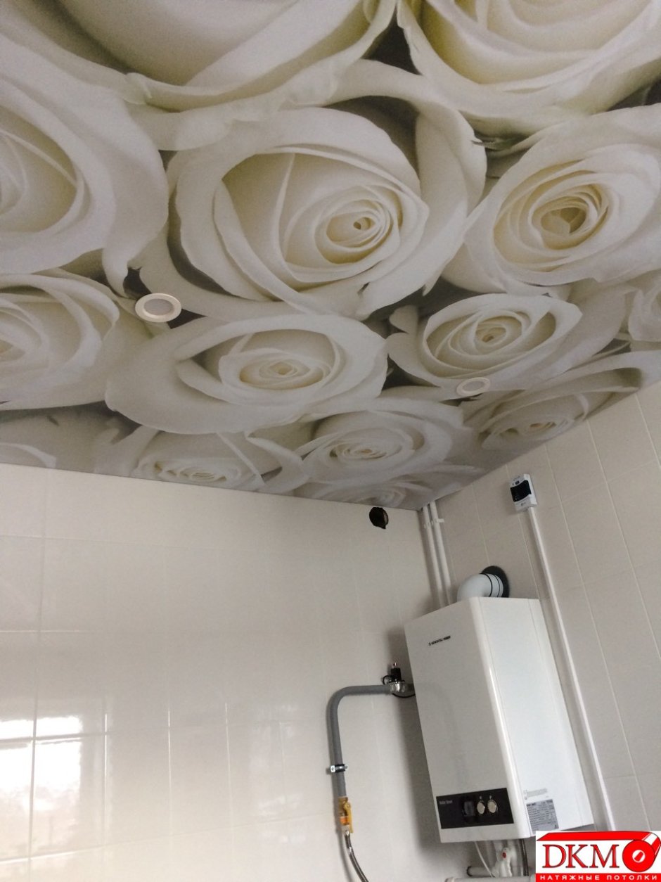 Натяжные потолки с фотопечатью