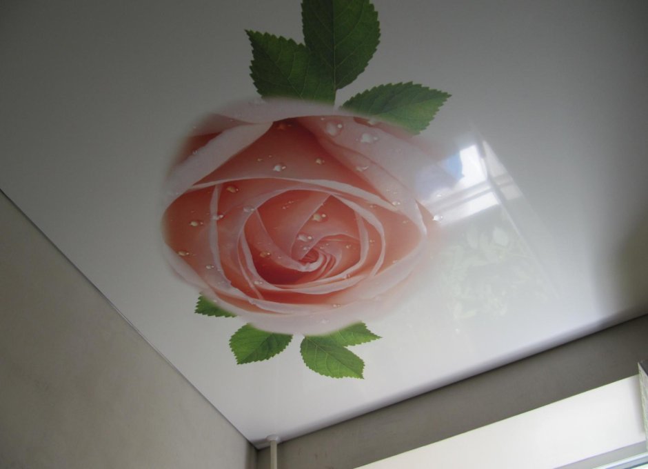 Натяжные потолки с розами
