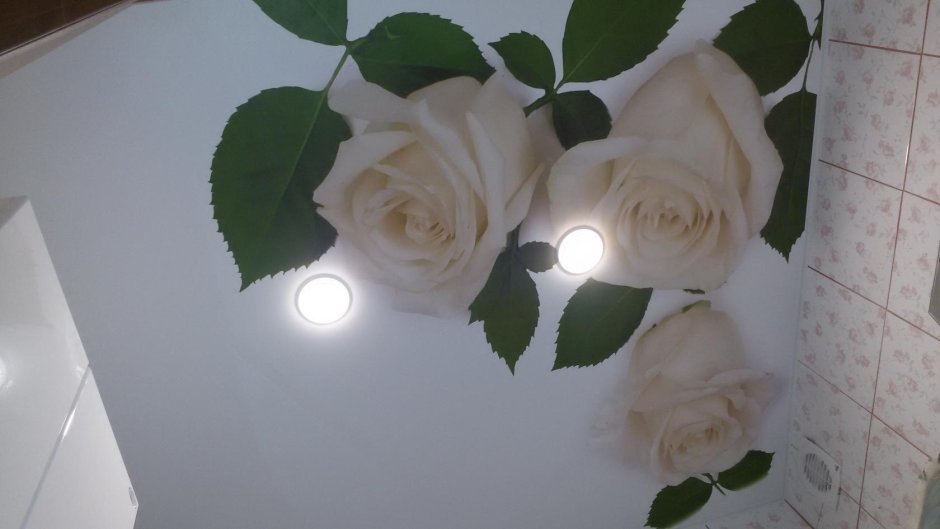 Натяжные потолки с розами