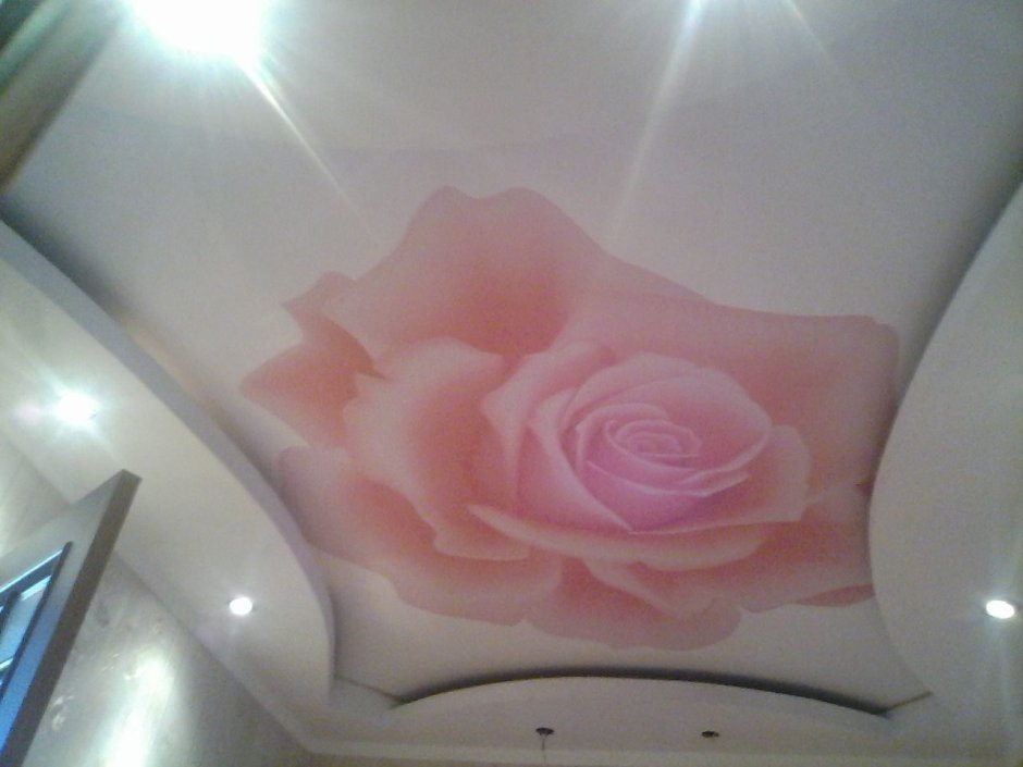 Натяжные потолки фотопечать розы в углу