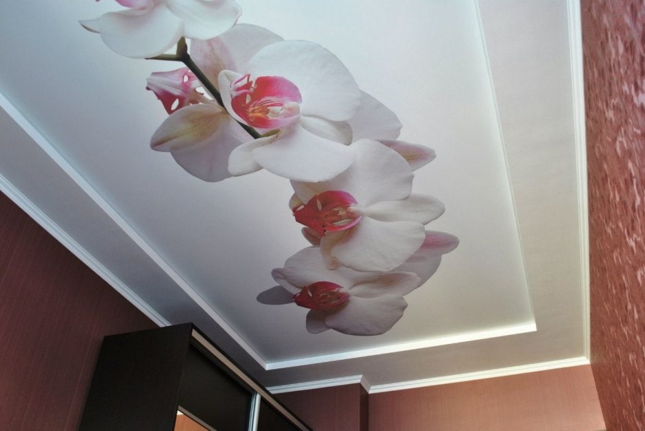 Натяжные потолки с красными розами