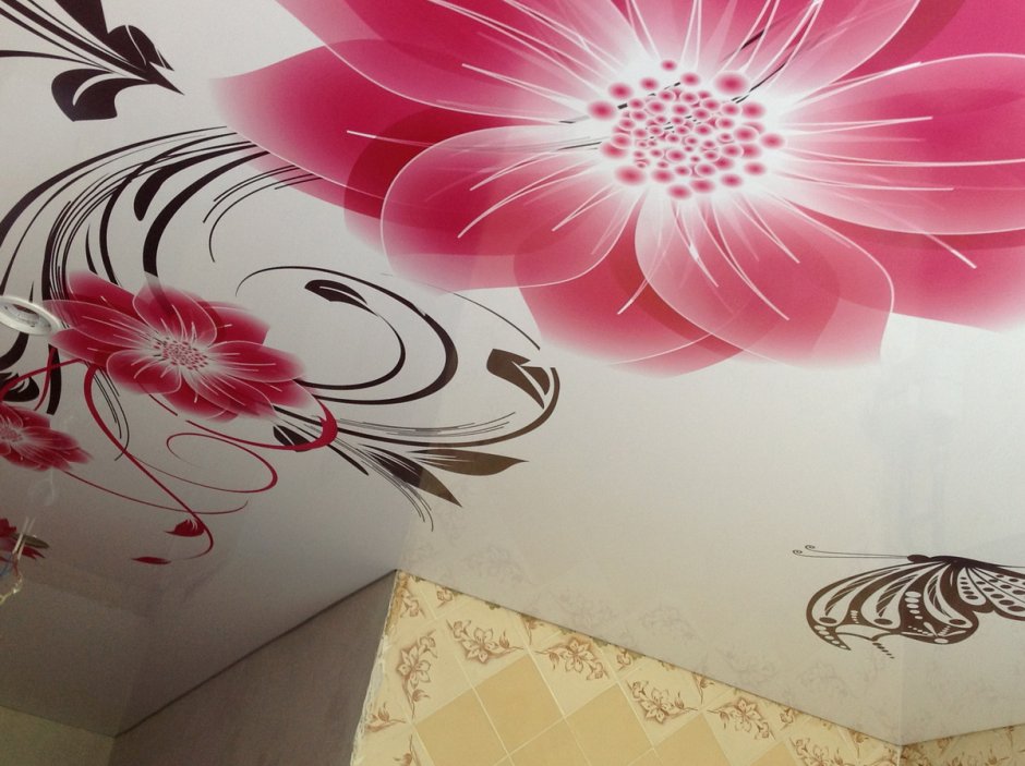 Натяжные потолки с фотопечатью