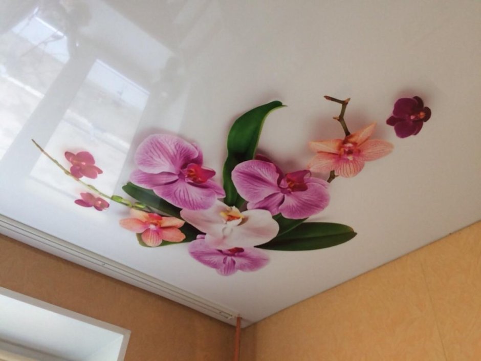 Натяжные потолки с цветами