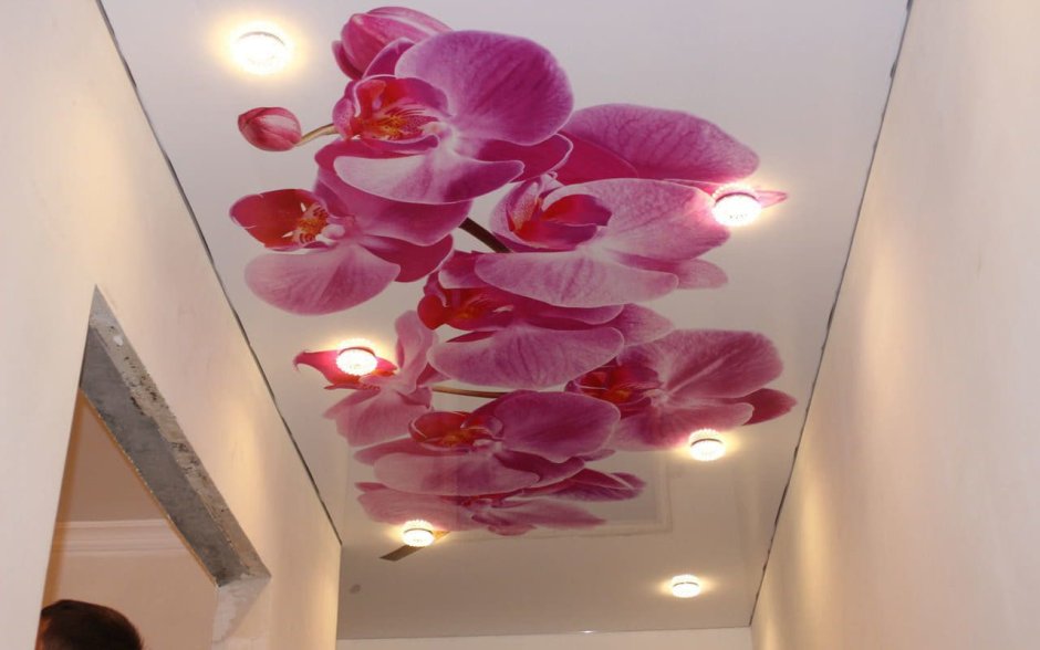 Натяжная стена с фотопечатью цветы