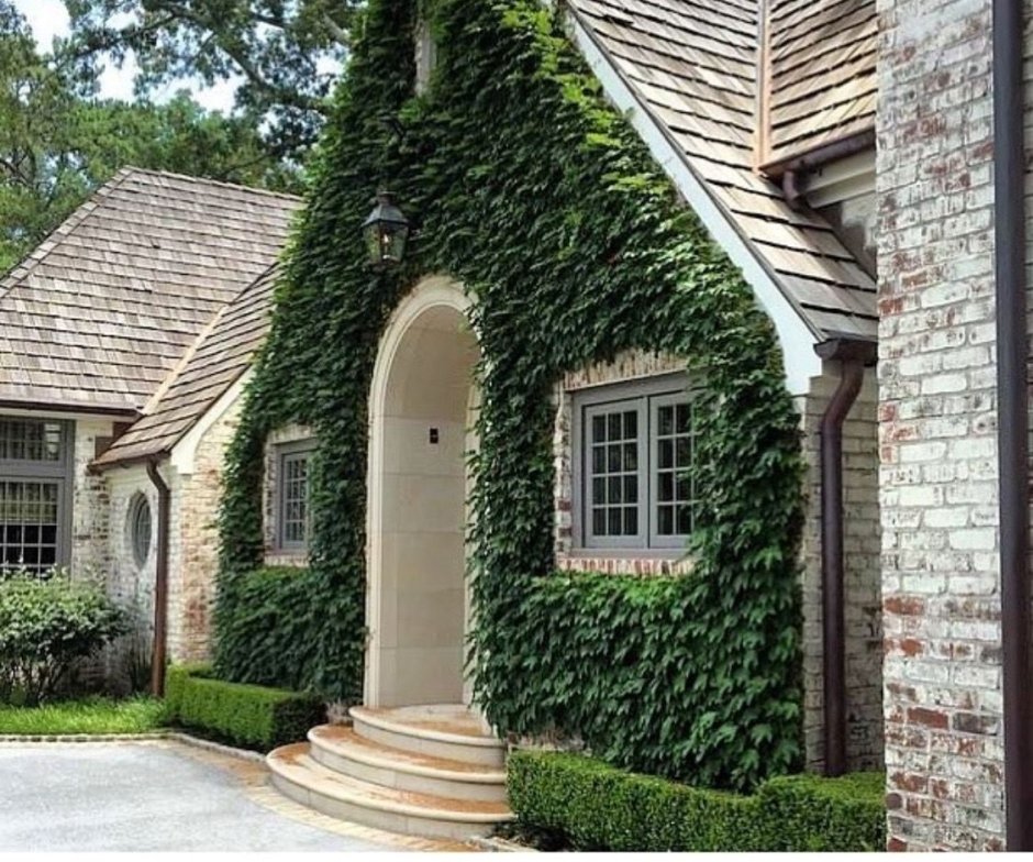 Кирпичный дом с плющем