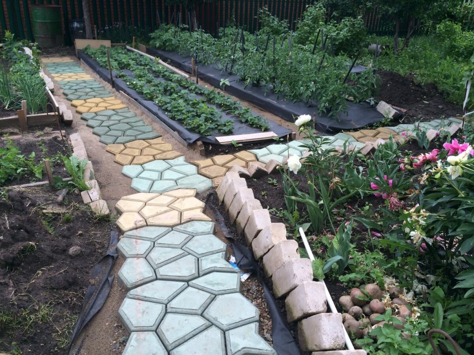 Садовая дорожка в саду