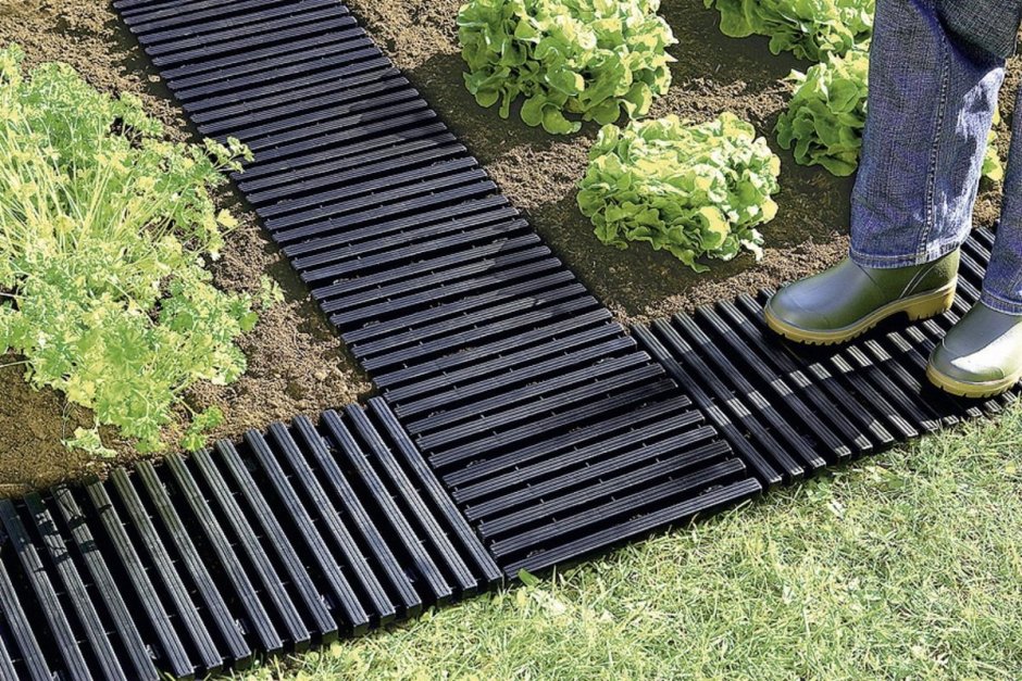 Красивый газон