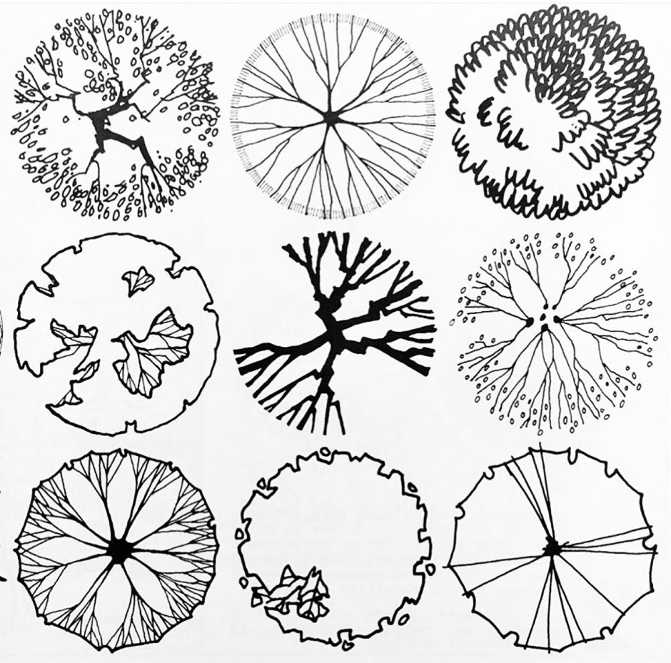 Стаффаж антураж деревья сверху