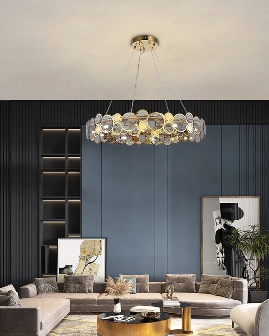 Вьюн плющ домашний