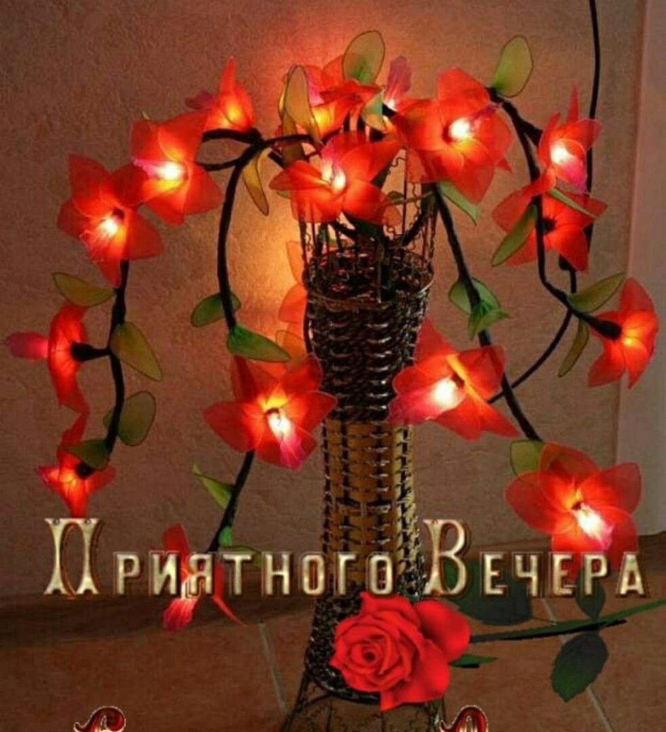 Ночник цветок