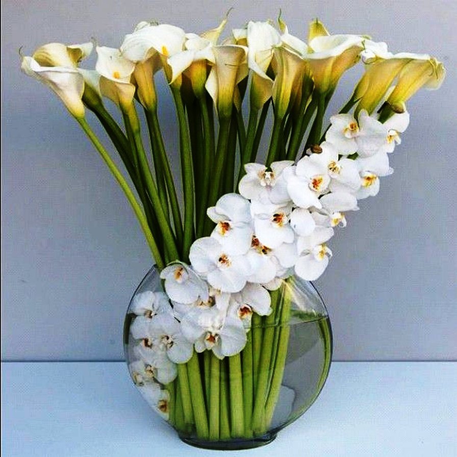 Цветы каллы красивый букет