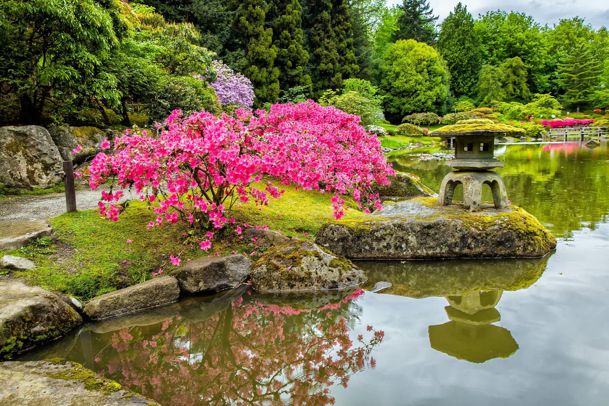 Китайский парк ботанический сад. Коичи Курису ландшафтный дизайнер. Дендра парк японский сад. Ландшафтный пейзажный сад Японии. Парк Синдзюку гёэн Сакура.