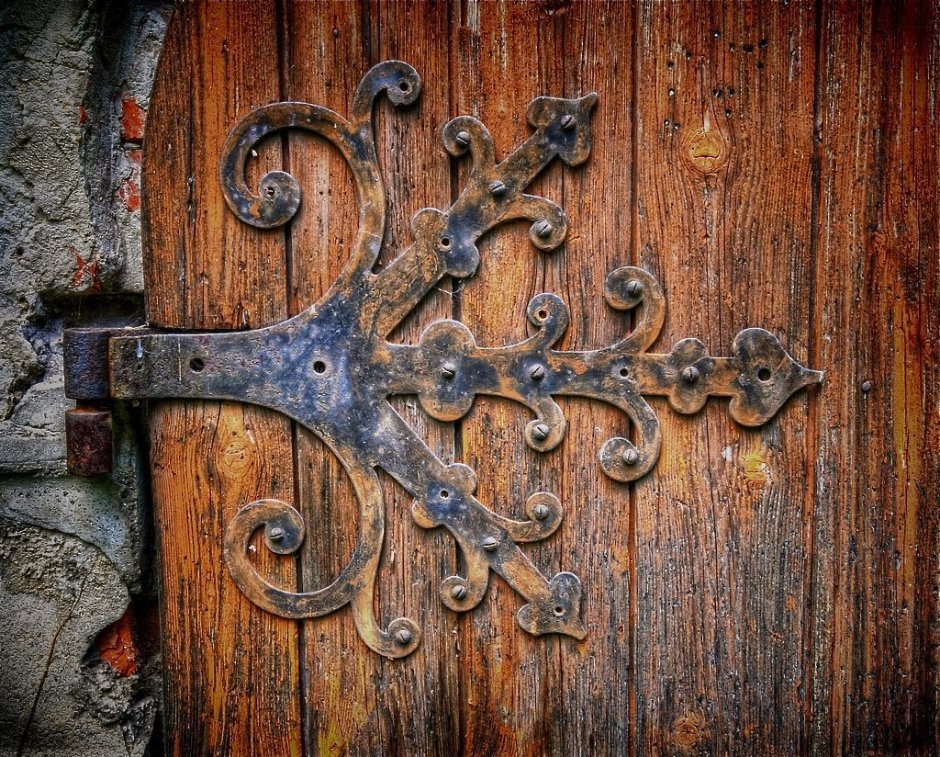 Кованые жуковины на двери
