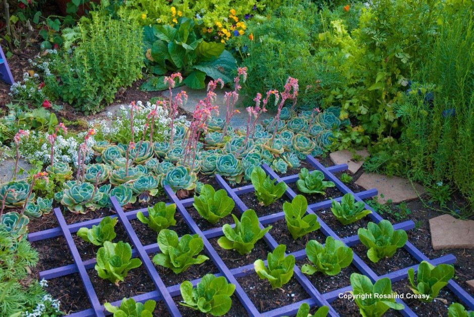 Красивые овощные грядки