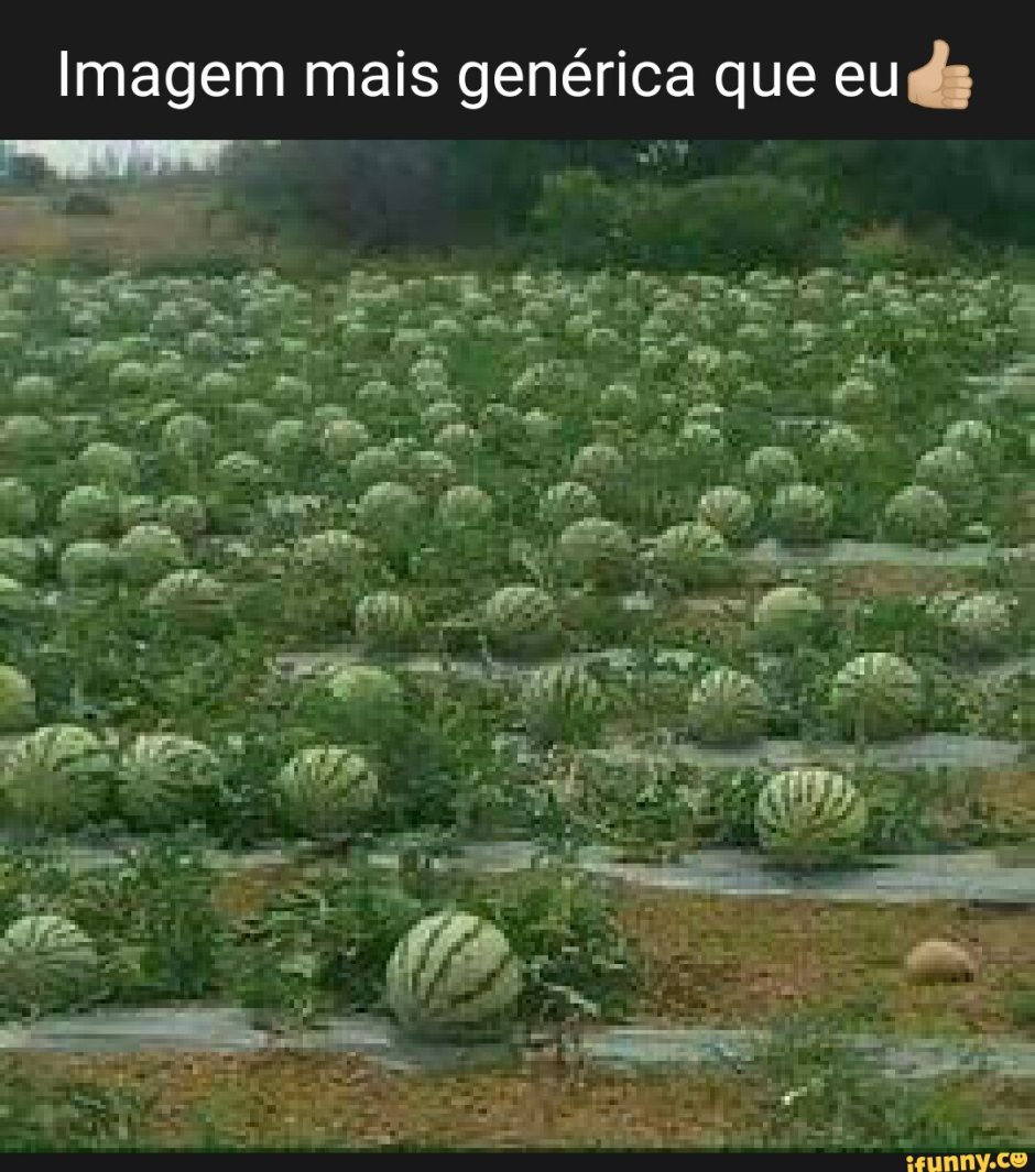 Соединенные штаты арбузии