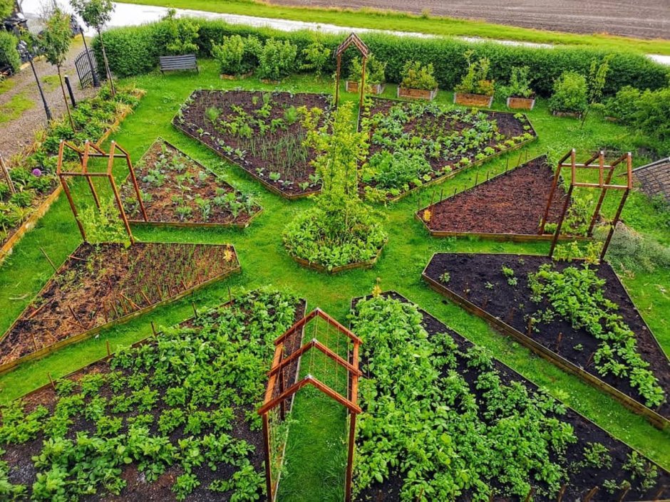 Планировка грядок на огороде 1 сотках