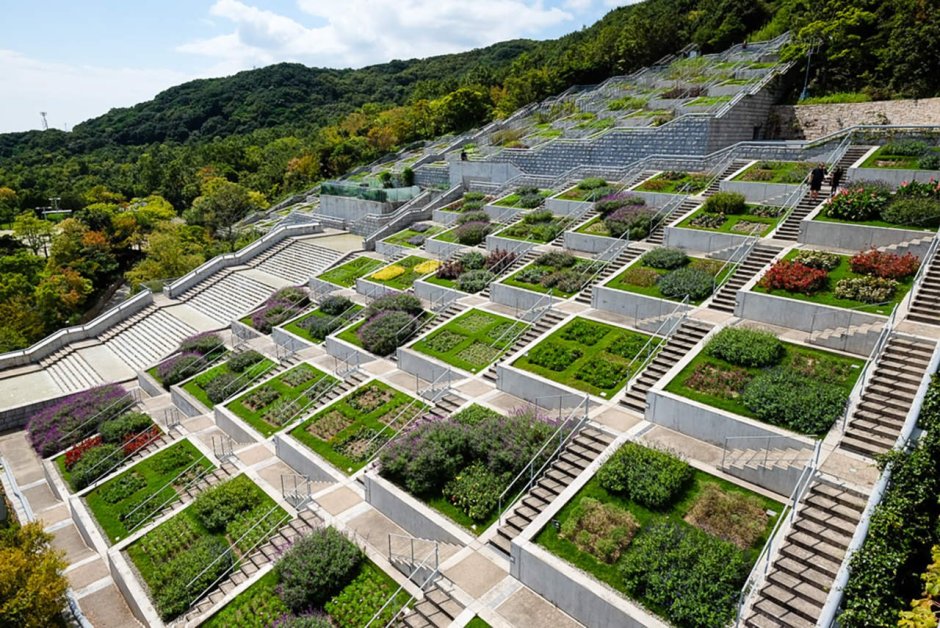 Огород в Японии