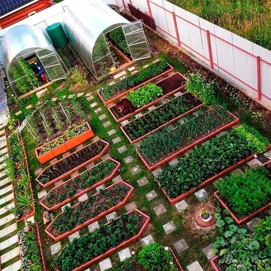 Планировка участка с огородом