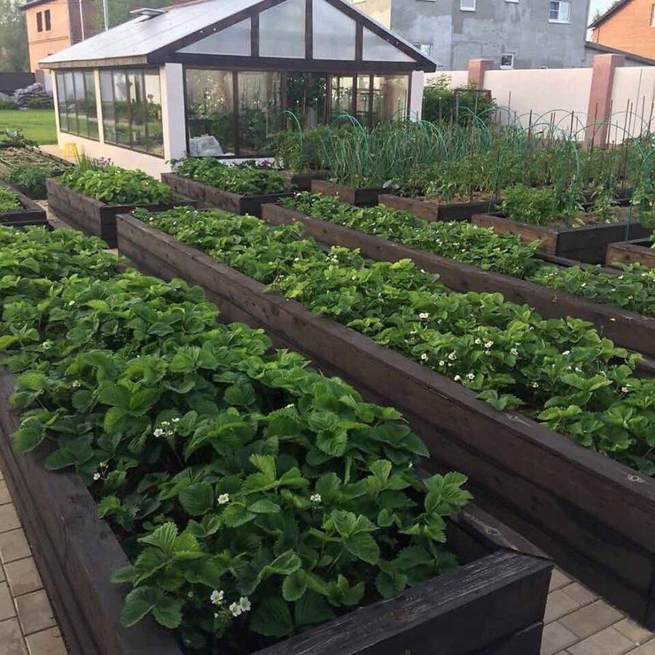 Огород с высокими грядками